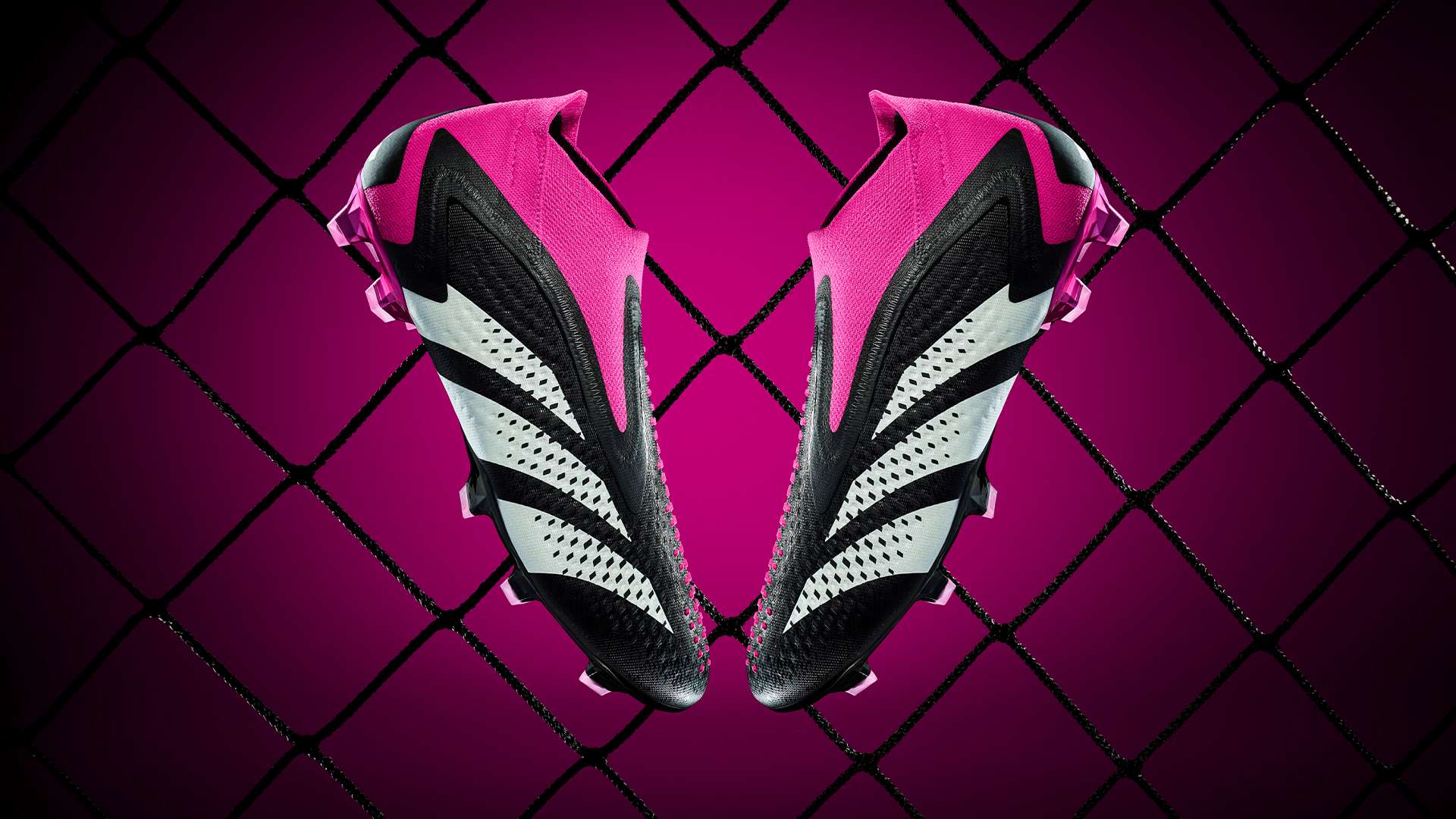 年以年轻球 年以年轻球